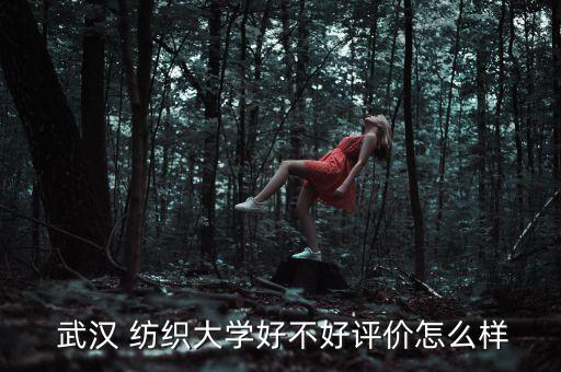 武漢紡織大學南湖校區(qū)論壇