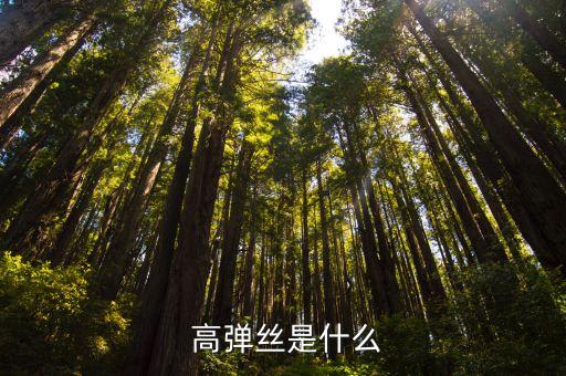 高彈面料有哪些,高彈麻是什么面料