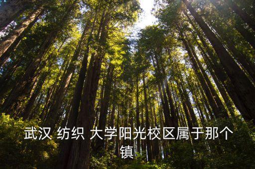  武漢 紡織 大學(xué)陽光校區(qū)屬于那個(gè)鎮(zhèn)