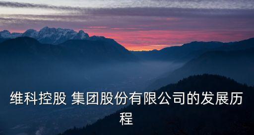 維科控股 集團股份有限公司的發(fā)展歷程