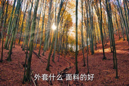 外套什么 面料的好