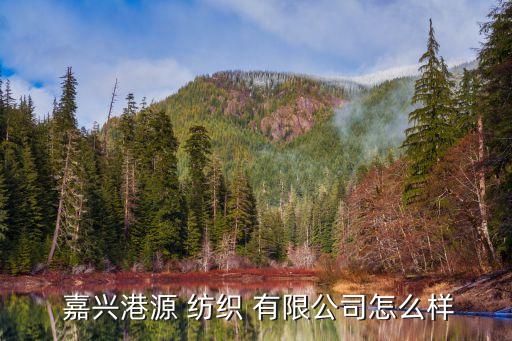 嘉興港源 紡織 有限公司怎么樣