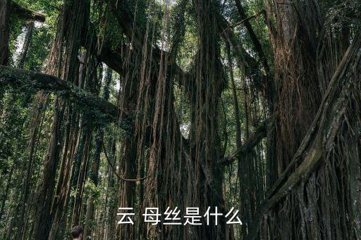 紡織 母絲,紡織絲有什么規(guī)格