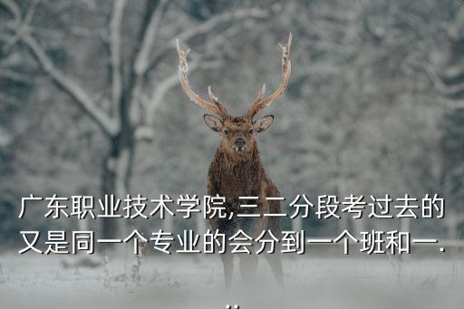 廣東職業(yè)技術(shù)學(xué)院,三二分段考過(guò)去的又是同一個(gè)專業(yè)的會(huì)分到一個(gè)班和一...