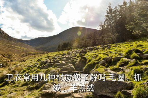 毛圈面料和棉哪個(gè)好,毛圈棉是什么面料圖片