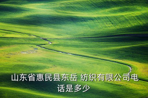  山東省惠民縣東岳 紡織有限公司電話是多少