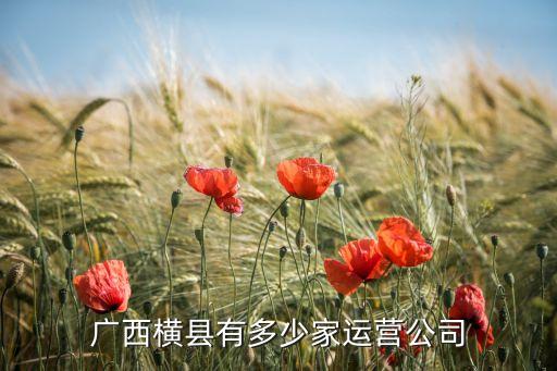 紡織之家,著名的紡織家