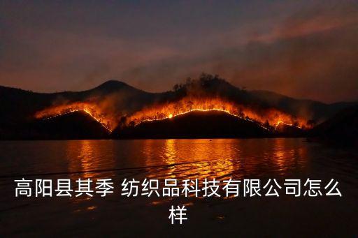 高陽縣其季 紡織品科技有限公司怎么樣
