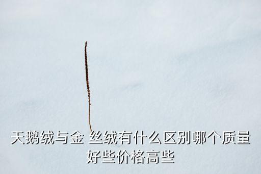 天鵝絨與金 絲絨有什么區(qū)別哪個質(zhì)量好些價格高些