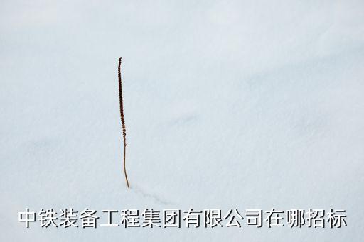 中鐵裝備工程集團(tuán)有限公司在哪招標(biāo)