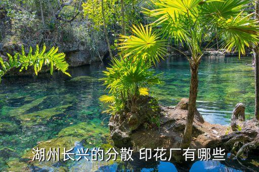 湖州長興的分散 印花廠有哪些