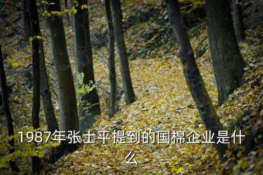 1987年張士平提到的國棉企業(yè)是什么