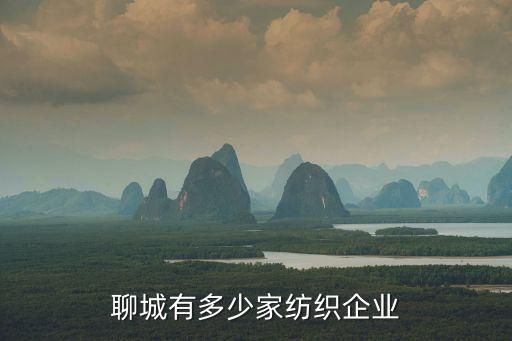 聊城有多少家紡織企業(yè)