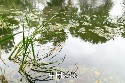 廣州紡織面料博覽會(huì),中國(guó)國(guó)際紡織面料及輔料博覽會(huì)上海