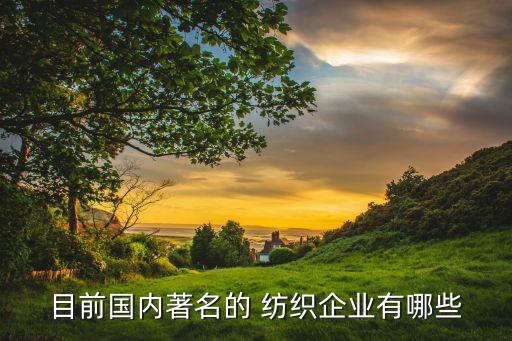 四川紡織科技,向興紡織科技有限公司