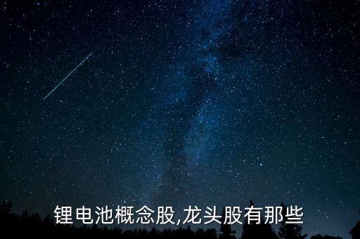 國泰華投資有限公司,深圳市國泰城市投資有限公司