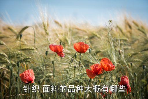  針織 面料的品種大概有哪些