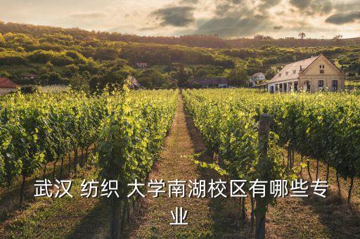  武漢 紡織 大學(xué)南湖校區(qū)有哪些專業(yè)