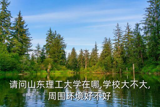 請問山東理工大學在哪,學校大不大,周圍環(huán)境好不好