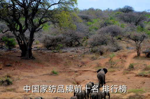 中國家紡品牌前十名 排行榜