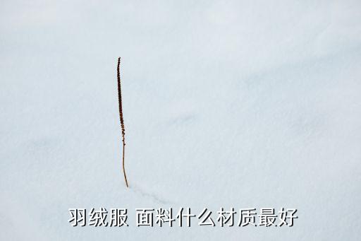  羽絨服 面料什么材質(zhì)最好