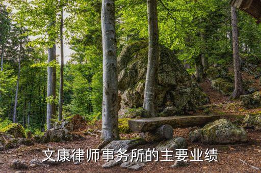 文康律師事務(wù)所的主要業(yè)績