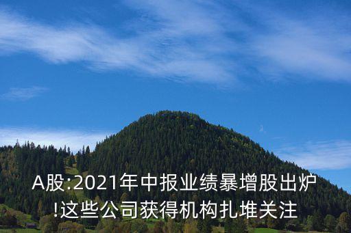 A股:2021年中報(bào)業(yè)績暴增股出爐!這些公司獲得機(jī)構(gòu)扎堆關(guān)注