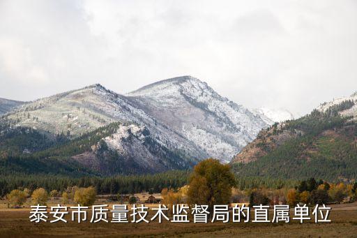  泰安市質(zhì)量技術(shù)監(jiān)督局的直屬單位