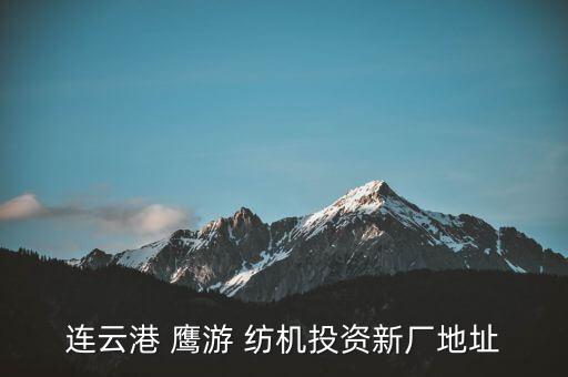連云港 鷹游 紡機投資新廠地址