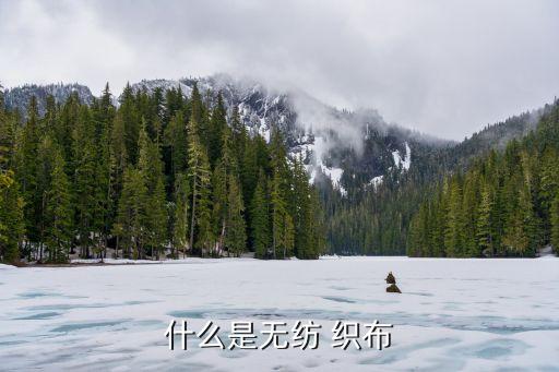 什么是無紡 織布