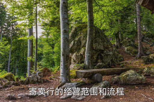 寄賣行的經(jīng)營范圍和流程