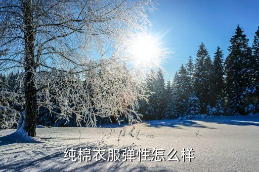 純棉衣服彈性怎么樣