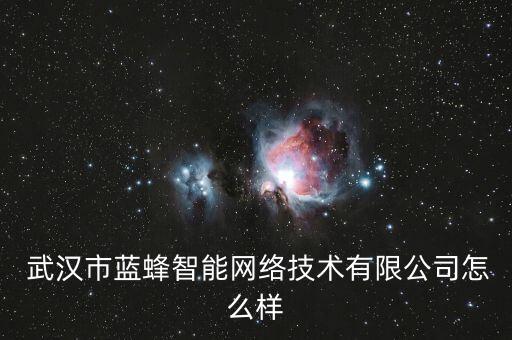  武漢市藍蜂智能網(wǎng)絡技術有限公司怎么樣