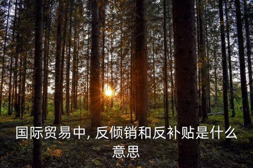 國際貿(mào)易中, 反傾銷和反補(bǔ)貼是什么意思