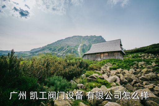 廣州 凱工閥門設(shè)備 有限公司怎么樣