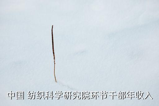 中國 紡織科學(xué)研究院環(huán)節(jié)干部年收入