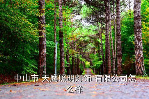 中山市天鷹毛紡有限公司,沈陽天鷹專用汽車制造有限公司
