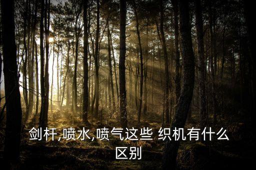  劍桿,噴水,噴氣這些 織機有什么區(qū)別