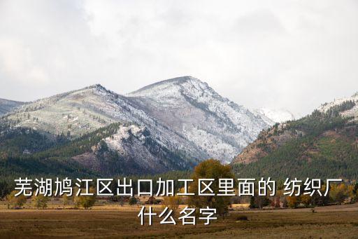 蕪湖鳩江區(qū)出口加工區(qū)里面的 紡織廠什么名字