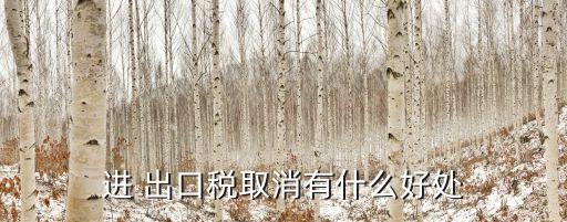 進(jìn) 出口稅取消有什么好處