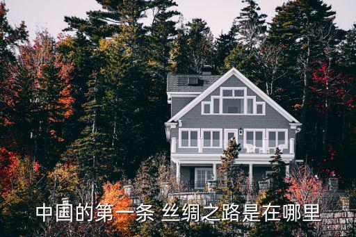 四川朗瑞絲綢有限公司,四川紅旗絲綢有限公司
