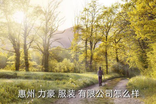  惠州 力豪 服裝 有限公司怎么樣