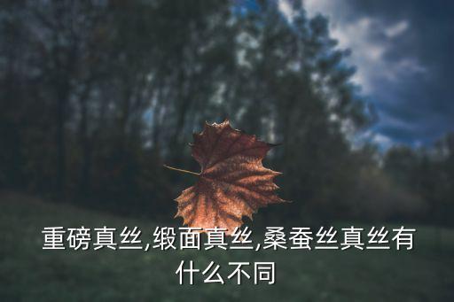  重磅真絲,緞面真絲,桑蠶絲真絲有什么不同