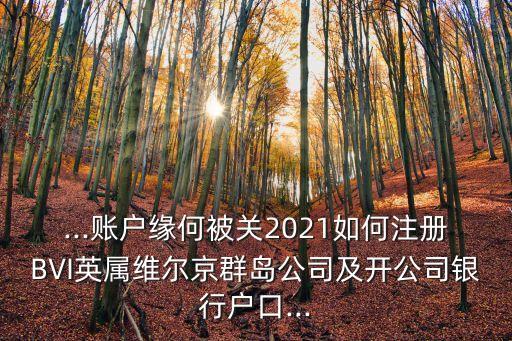 ...賬戶緣何被關(guān)2021如何注冊(cè)BVI英屬維爾京群島公司及開(kāi)公司銀行戶口...