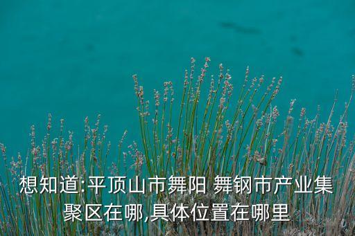 想知道:平頂山市舞陽 舞鋼市產(chǎn)業(yè)集聚區(qū)在哪,具體位置在哪里