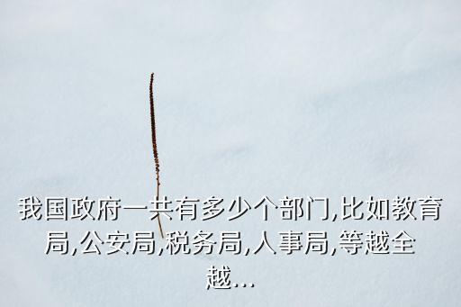 我國政府一共有多少個部門,比如教育局,公安局,稅務局,人事局,等越全越...