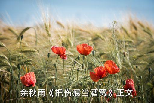 余秋雨《把傷痕當(dāng)酒窩》正文