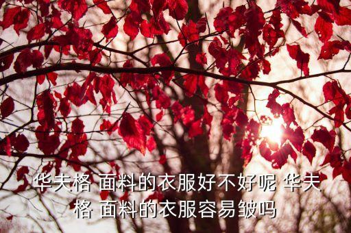 華夫格是什么面料,純棉華夫格是什么面料