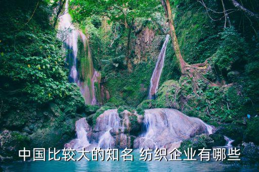 中國比較大的知名 紡織企業(yè)有哪些