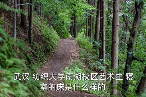  武漢 紡織大學(xué)南湖校區(qū)藝術(shù)生 寢室的床是什么樣的